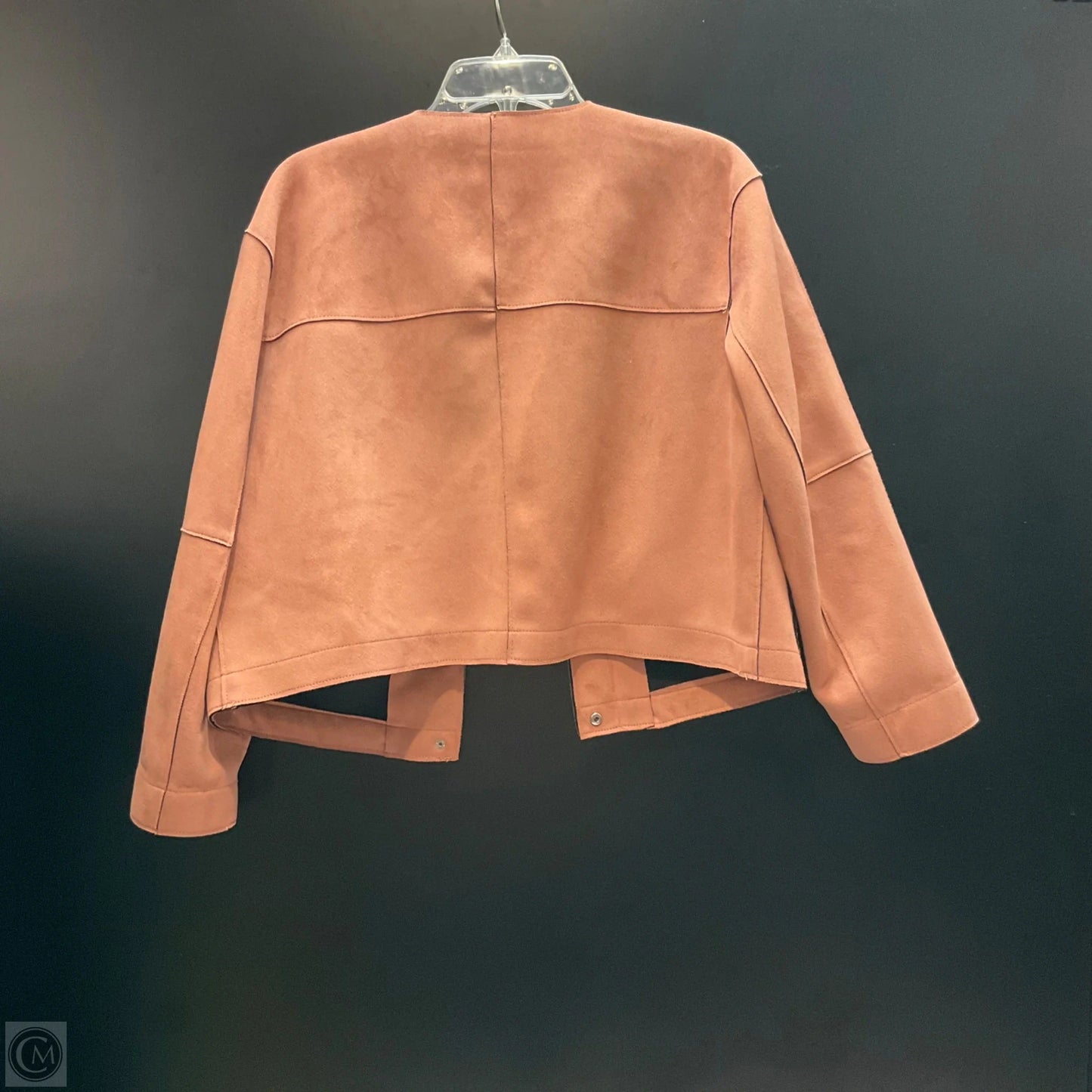 Blazer By Zara Basic In Pink, Size: L