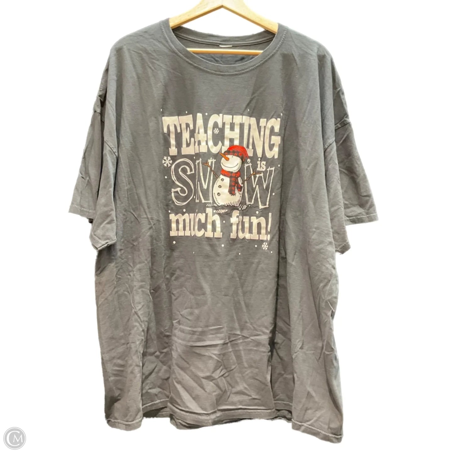 Top Short Sleeve By Clothes Mentor In Grey, Size: 4x