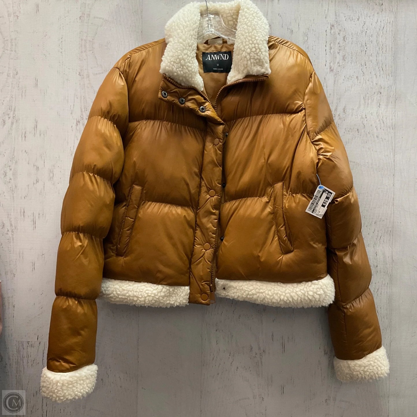 Jacket Moto By Clothes Mentor In Brown, Size: M