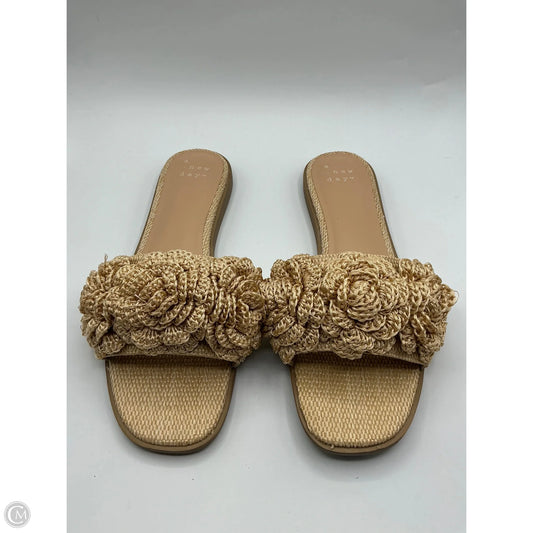 Sandals Flats By A New Day In Brown, Size: 11