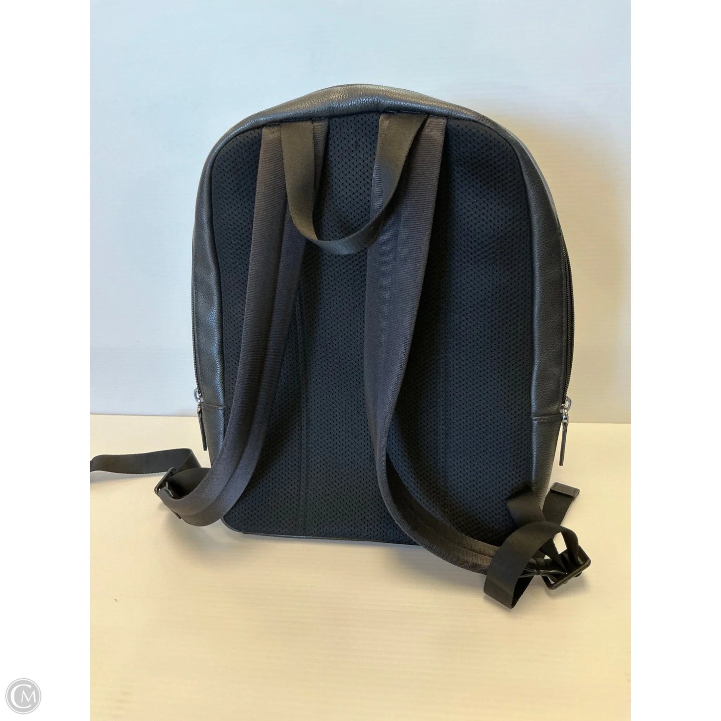 Backpack Designer By Michael Kors, Size: Large